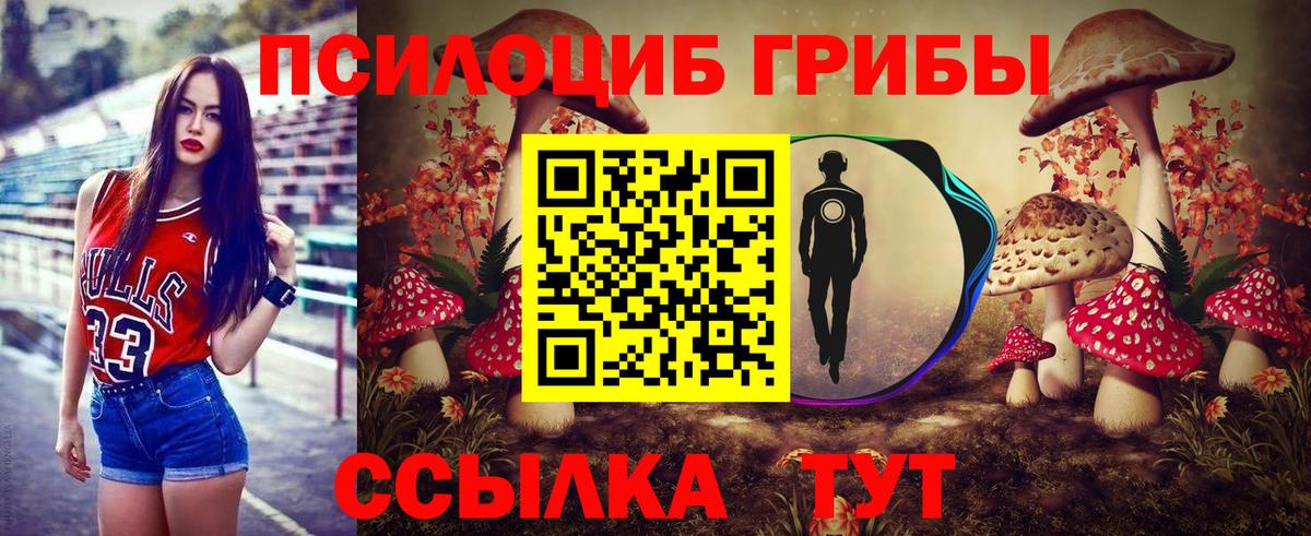Псилоцибиновые грибы прущие грибы Зеленогорск