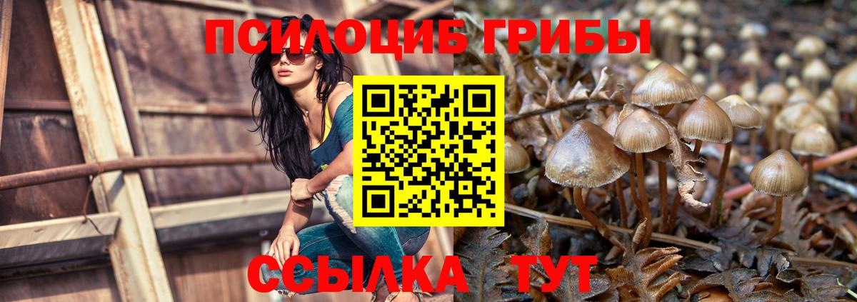 Зеленогорск  Псилоцибиновые грибы Magic Shrooms  Вход с VPN 